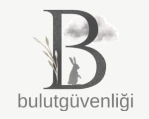 Bulut Güvenliği